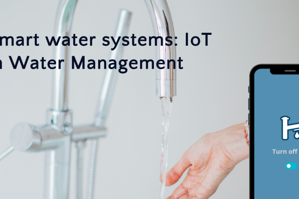 Smart water systems: IoT in water management